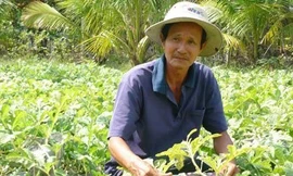 Bưởi, dưa hấu giá 3 triệu đồng