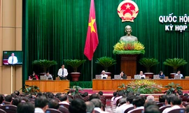 Chưa xác định nhóm lợi ích trong nông nghiệp