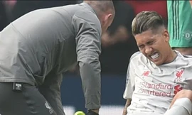 Roberto Firmino dính chấn thương khả nặng trong trận đấu với M.U.