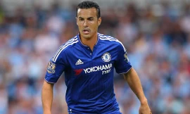 Chelsea cướp Pedro trước mũi M.U.