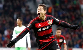 Javier Hernandez tiếp tục tỏa sáng trong màu áo Bayer Leverkusen.
