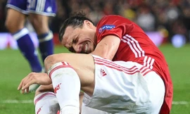 Ibrahimovic vẫn chưa quyết định bến đỗ tiếp theo.