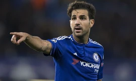 Fabregas có thể gia nhập M.U vào hè 2017.