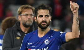 Cesc Fabregas từng rất muốn trở lại Arsenal.