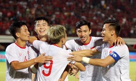 ĐTQG Việt Nam đang thi đấu thăng hoa dưới triều đại của HLV Park Hang-seo.