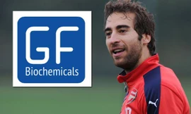 Flamini sẵn sàng đầu tư vào Arsenal nếu có cơ hội.