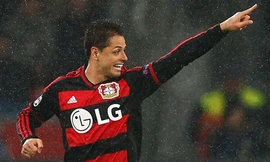 Javier Hernandez sẵn sàng gia nhập Arsenal.