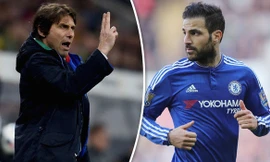 HLV Conte muốn Fabregas rời Chelsea ngay hè này.
