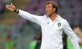 HLV Herve Renard từng có thời gian làm việc tại V.League.