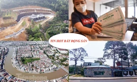 'Biệt phủ' xây trên đất rừng, chung cư mini không phép bủa vây trường đại học