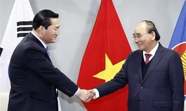 Chủ tịch nước tiếp các tổ chức hữu nghị, hợp tác Hàn-Việt