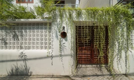 Cải tạo nhà ống thành nhà phố trồng cúc tần trước cổng dành cho 4 thế hệ 