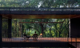 Ngôi nhà có ánh sáng ngập tràn giữa rừng dương xỉ