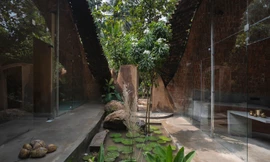 Ngôi nhà vòm đôi có hình dạng kì lạ để giữ nguyên toàn bộ vườn cây