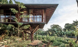 Ấn tượng ngôi nhà trên cây ở Bali