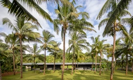 Thích thú với nhà vườn có thiết kế đặc biệt giấu đi các lớp cửa lùa