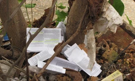 Phao trắng vườn trường, hội đồng thi vẫn ...chối