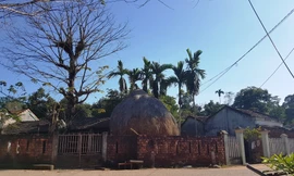 Mọt góc làng Đo Đo