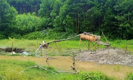 Một phụ nữ bị nước cuốn trôi khi đang đi làm vàng. ảnh minh họa