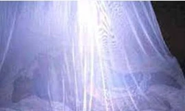 Nửa đêm ‘ma nhớt’ xông vào nhà giật dây chuyền