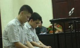 Vì sao cháu sát hại bà?