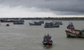 Tàu thuyền vào nơi tránh bão.