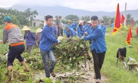 Gần 300 đoàn viên, thanh niên đồng loạt ra quân 'triệt hạ' bèo tây