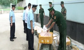 Kiểm đếm, tịch thu số nầm lợn nhập lậu. Ảnh: TL.