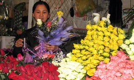 Hoa hồng rất được ưa chuộng trong ngày 20/11.