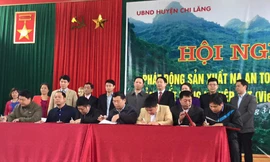 Ký kết nhiều biên bản hợp tác bao tiêu sản phẩm nông sản Chi Lăng. Ảnh: Duy Chiến.