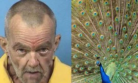 Cụ ông 63 tuổi 'làm bậy' với công