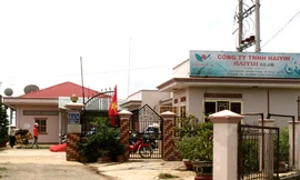 Cty TNHH Haiyih được xác định đã có hành vi chuyển giá. Ảnh: Kim Anh