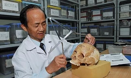 Tình yêu bóng đá của những người con cố Giáo sư Nguyễn Lân