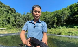 Đổi đời nhờ nuôi cá tầm