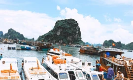 Tàu du lịch 'khóc thét' sau thông báo bất ngờ của cây xăng duy nhất tại Vân Đồn