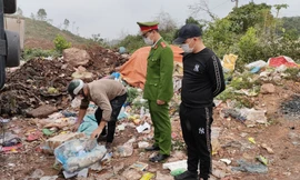 Tóm gọn xe tải chở 5,2 tấn tai lợn bốc mùi từ Lạng Sơn về Quảng Ninh 