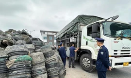 Tiêu hủy hơn 45.000 lồng nhựa nuôi trồng trái phép trên vịnh Hạ Long