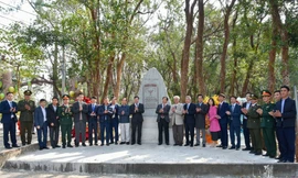 Quảng Ninh có thêm 156 cây di sản Việt Nam