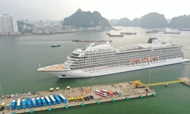 7.000 khách quốc tế đi tàu biển đến Quảng Ninh dịp Tết 
