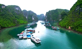 Vịnh Hạ Long thu gần 200 tỷ tiền vé trong 3 tháng