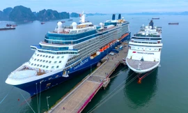 Hai ‘siêu tàu’ đưa gần 3.700 khách quốc tế đến Hạ Long đêm giao thừa