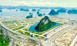 Quảng Ninh nói gì về dự án có 'hòn non bộ khủng nhất Việt Nam'?