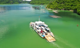 Đi giữa lòng di sản cùng chuyến phà biển đặc biệt nhất Việt Nam