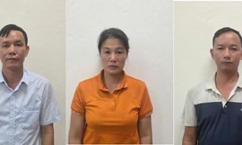 Bắt Giám đốc Công ty Lâm nghiệp Hoành Bồ cùng hai thuộc cấp