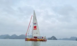 Cận cảnh dàn thuyền buồm vòng quanh thế giới đến vịnh Hạ Long