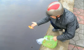 Người dân Hạ Long đua nhau thả cá chép xuống hồ nước mặn