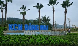 Hàng chục công nhân khu công nghiệp ở Quảng Ninh phải nhập viện cấp cứu