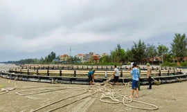 Lựa thủy triều để bàn giao lồng bè cho phía Trung Quốc bị bão Yagi đánh bay