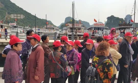 Xác minh thông tin 'du lịch thảm họa, vứt khách lại trên đảo Ti-tốp'