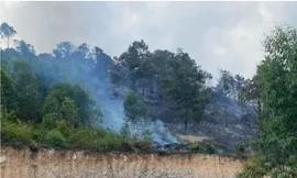 Cháy rừng ở Quảng Ninh, hai người tử vong